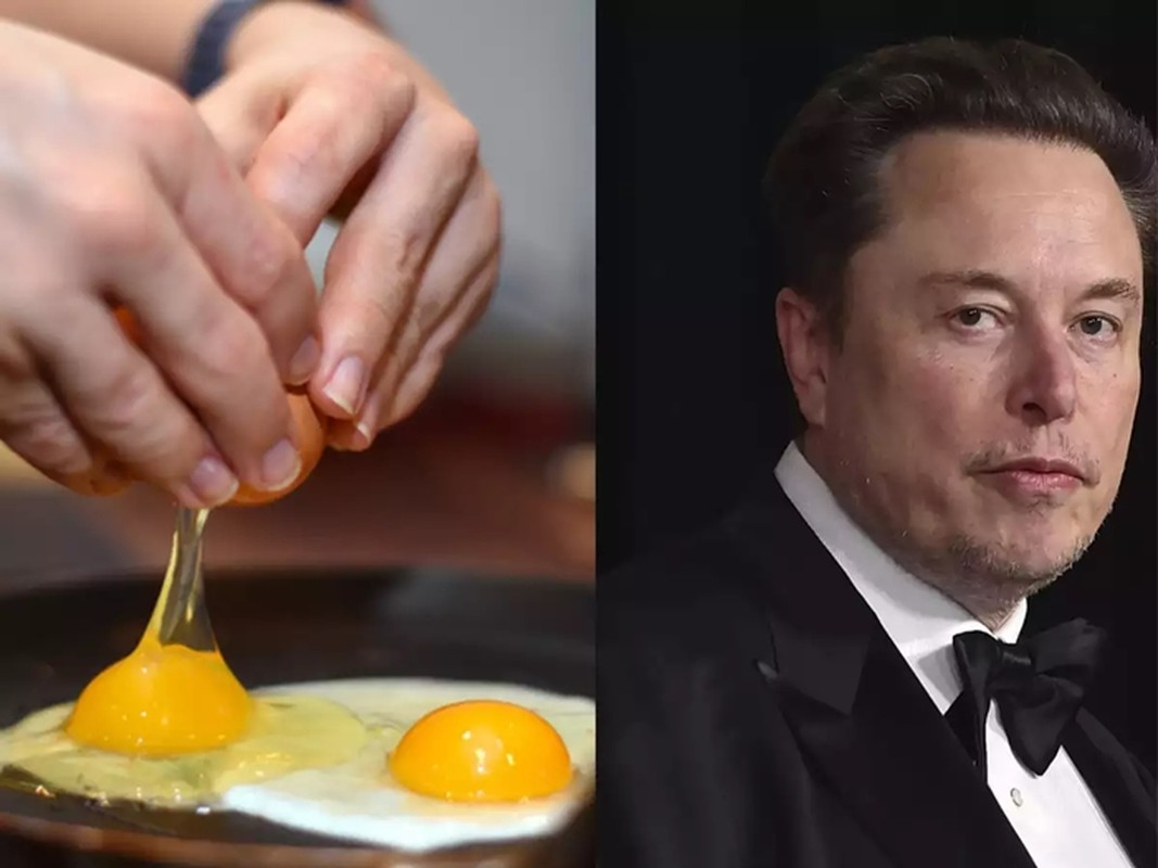 Lo qua khu “duoi muc ngheo kho” cua ty phu Elon Musk-Hinh-6