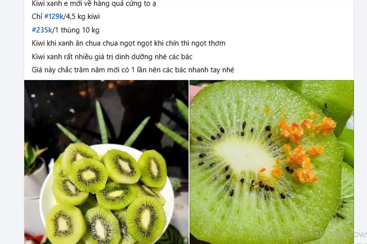 Su that dang sau kiwi chi 20.000 dong/kg ban day cho-Hinh-4