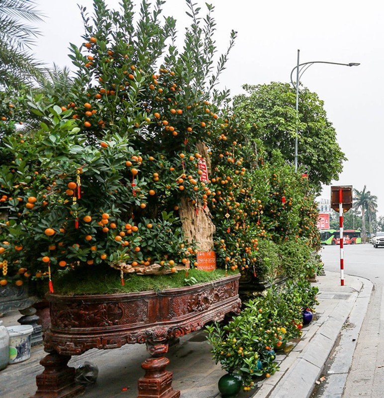 Quat khong lo tram trieu hut nha giau choi Tet 2025-Hinh-4