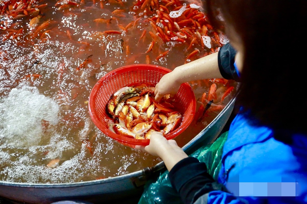 Cho ca lon nhat Ha Noi nhon nhip truoc ngay ong Cong ong Tao-Hinh-8