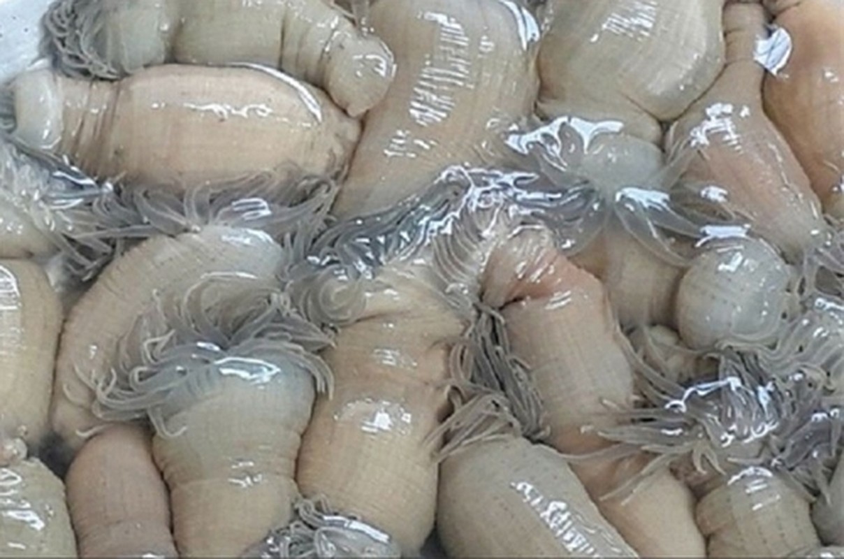 Dac san duoc vi nhu “than duoc” 3 trieu dong/kg van hut khach-Hinh-9