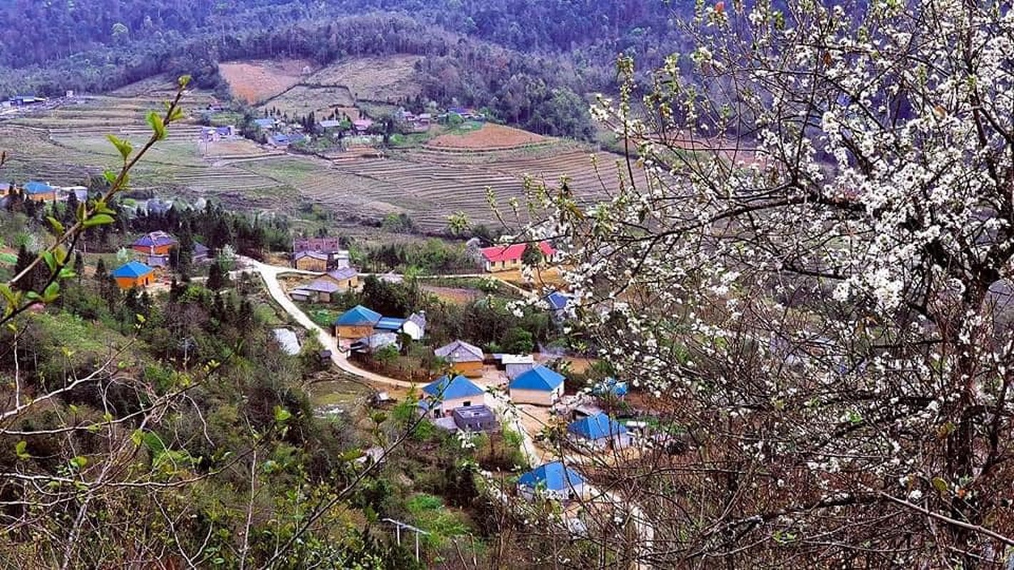 Den Y Ty, dam minh trong sac trang tinh khoi cua hoa son tra-Hinh-3