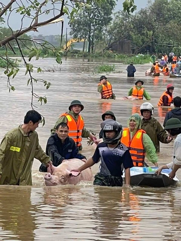 View - 	Hình ảnh đẹp của các chiến sĩ công an cứu người trong bão lũ