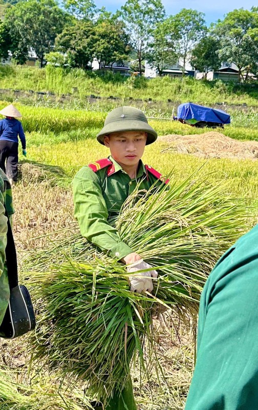 View - 	Hình ảnh đẹp của các chiến sĩ công an cứu người trong bão lũ