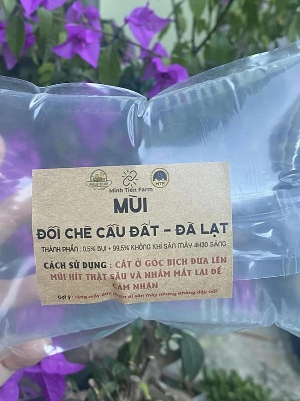 Doc la Da Lat: Ban tui “khong khi” tuong dua nhung lai gay bao mang-Hinh-4