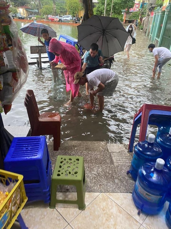 “Vinh Trieu Khuc” ngay Ha Noi mua gio, nguoi dan thi nhau bat ca