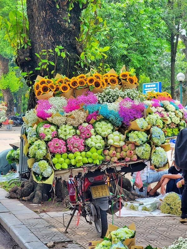 Loat dac san Ha Noi mua thu lam khach du lich kho bo qua-Hinh-5