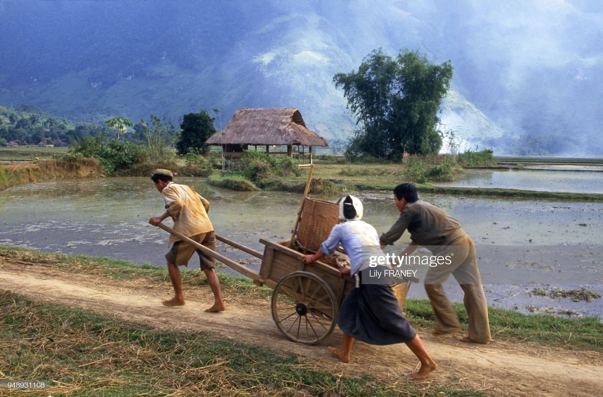 Bo anh lang que Viet Nam nam 1987 lam nhieu nguoi boi hoi-Hinh-11