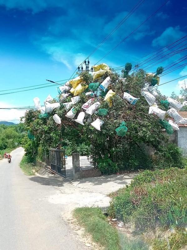 1001 cach chong trom trai cay phai thot len “kho vay cung nghi ra“-Hinh-7