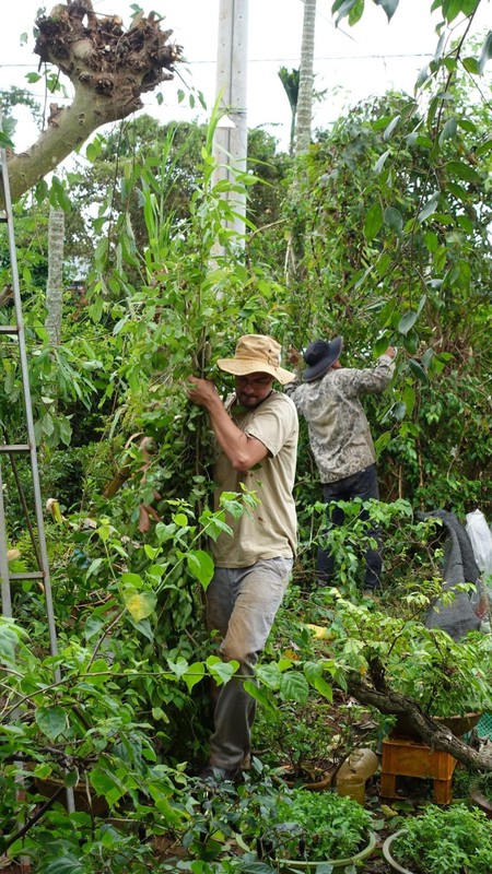 Chang trai Bi lay co gai Dak Lak ve que vo lam “nong dan“-Hinh-11