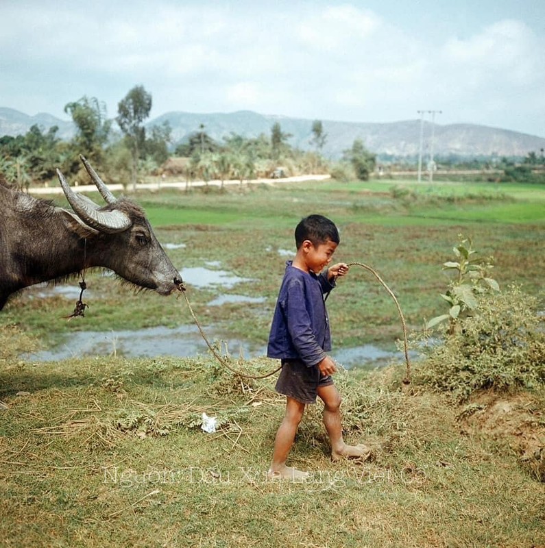 Loat anh mien Bac Viet Nam nhung nam 1972-1973-Hinh-3