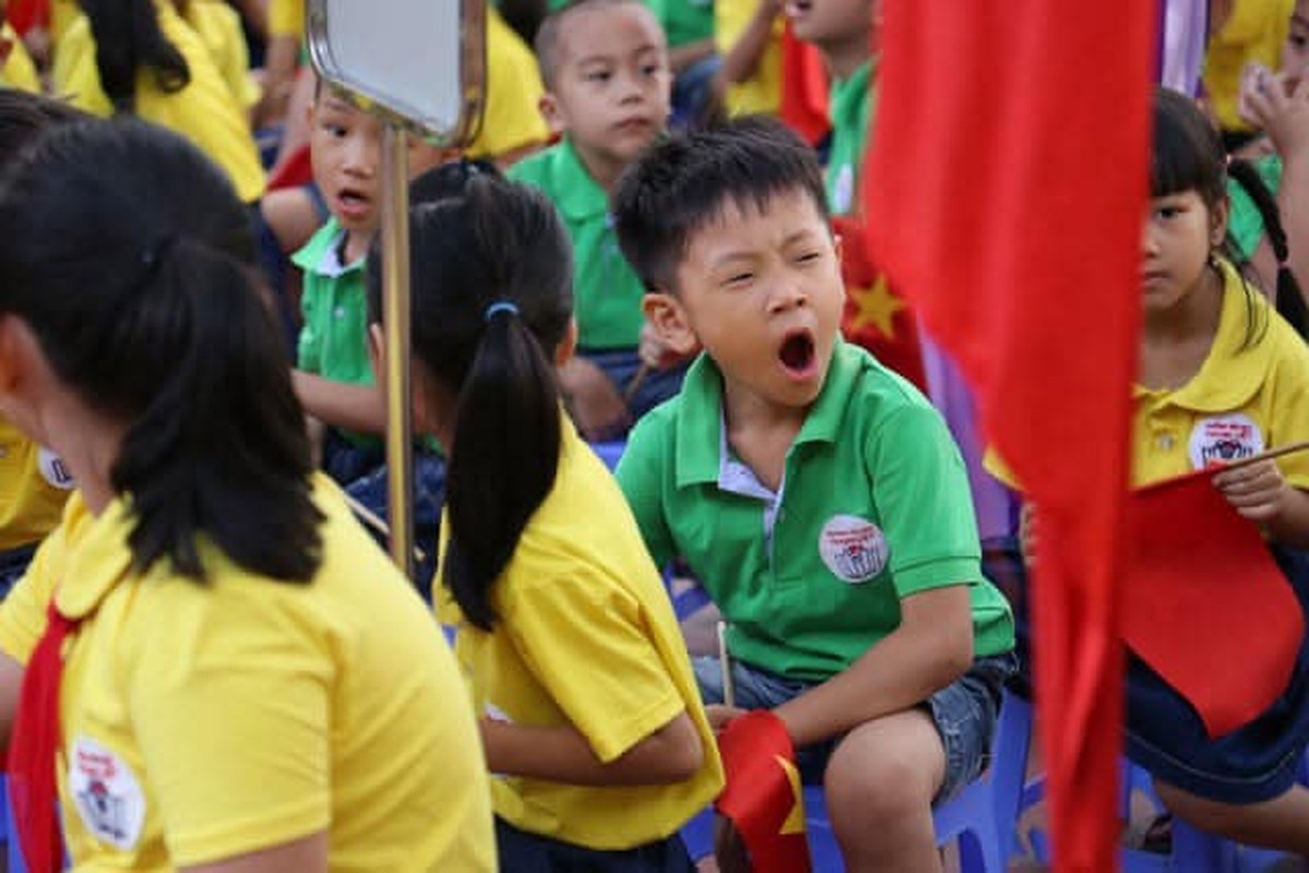 Khoanh khac ngo nghinh cua cac “bup mang non” ngay khai truong-Hinh-3