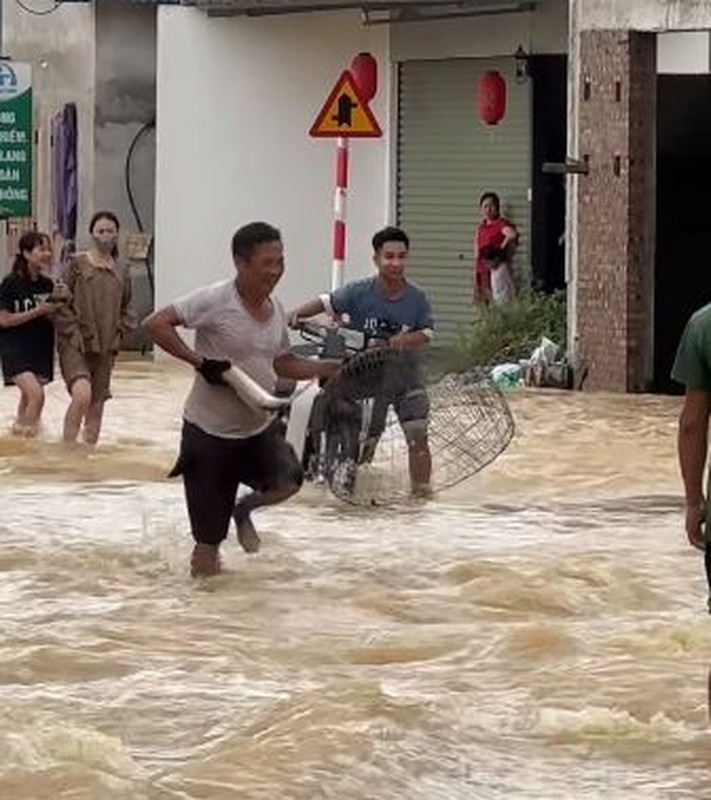 Loat anh dang yeu mua bao, khi nhung chu lon cung duoc so tan-Hinh-7