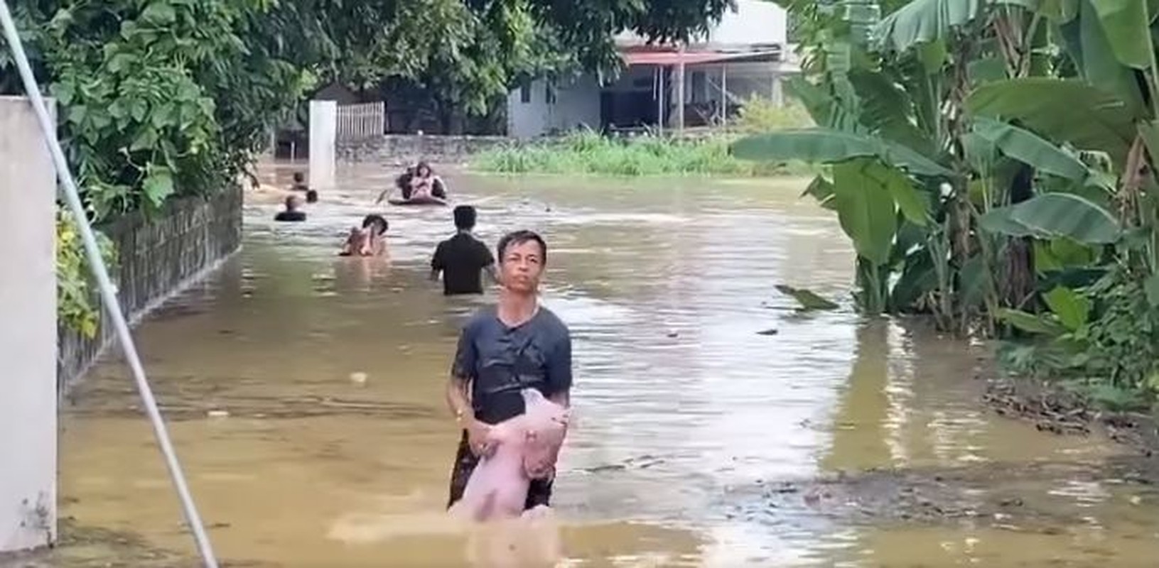 Loat anh dang yeu mua bao, khi nhung chu lon cung duoc so tan-Hinh-8