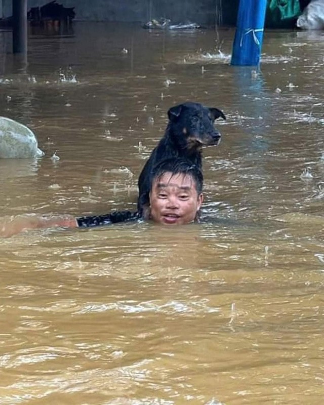 Tan chay truoc loat anh giai cuu dong vat mua lu-Hinh-7