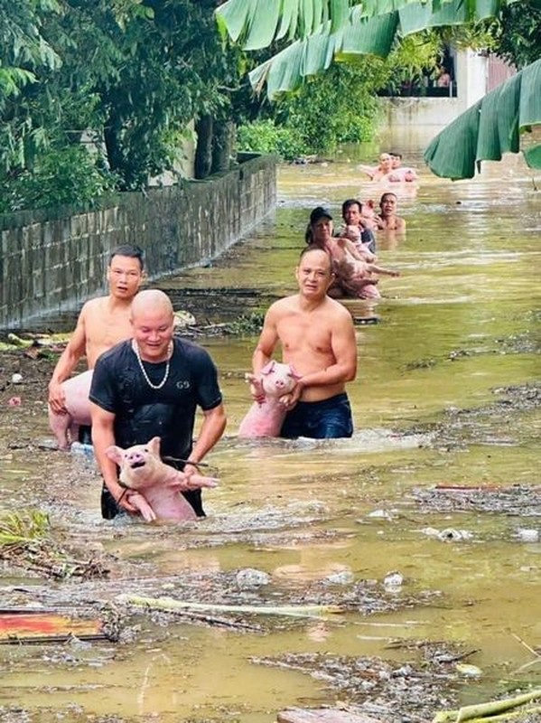 Tan chay truoc loat anh giai cuu dong vat mua lu-Hinh-8