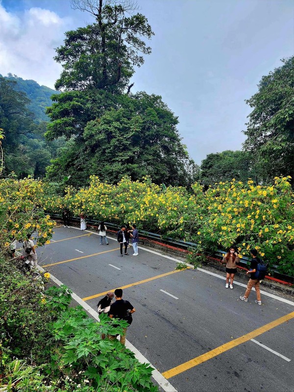 Dong nguoi do ve san hoa da quy, Ba Vi “that thu“