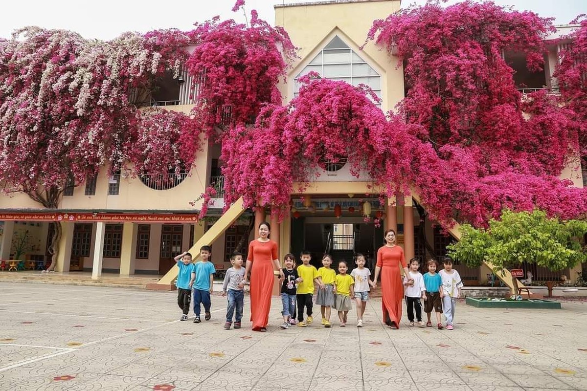 Ngoi truong mam non dep nhu tranh ve voi dan hoa giay khong lo-Hinh-5