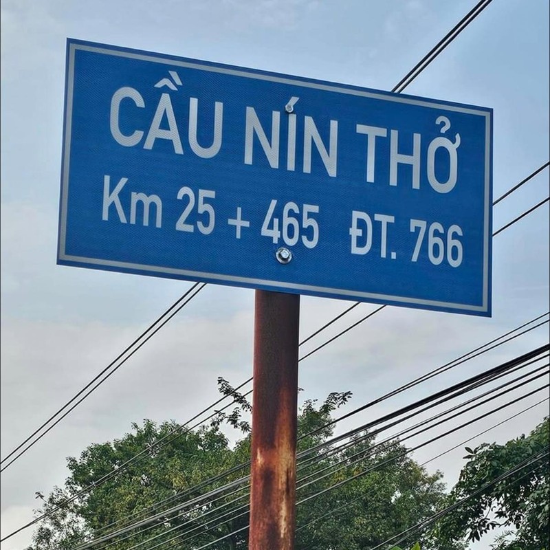 Nhung cay cau voi ten “doc nhat vo nhi” chi co o Viet Nam-Hinh-2