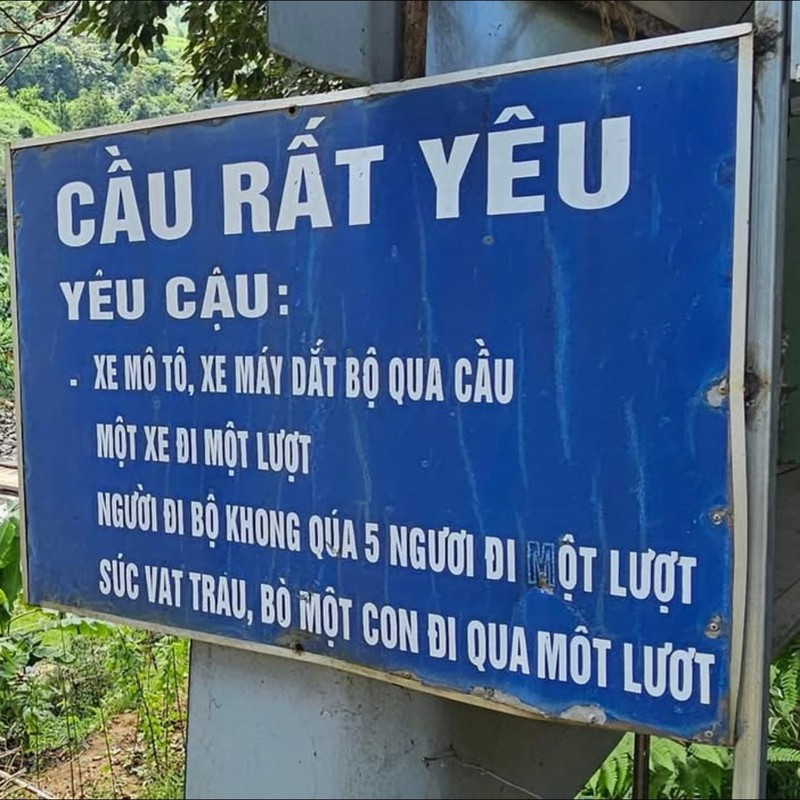 Nhung cay cau voi ten “doc nhat vo nhi” chi co o Viet Nam-Hinh-6