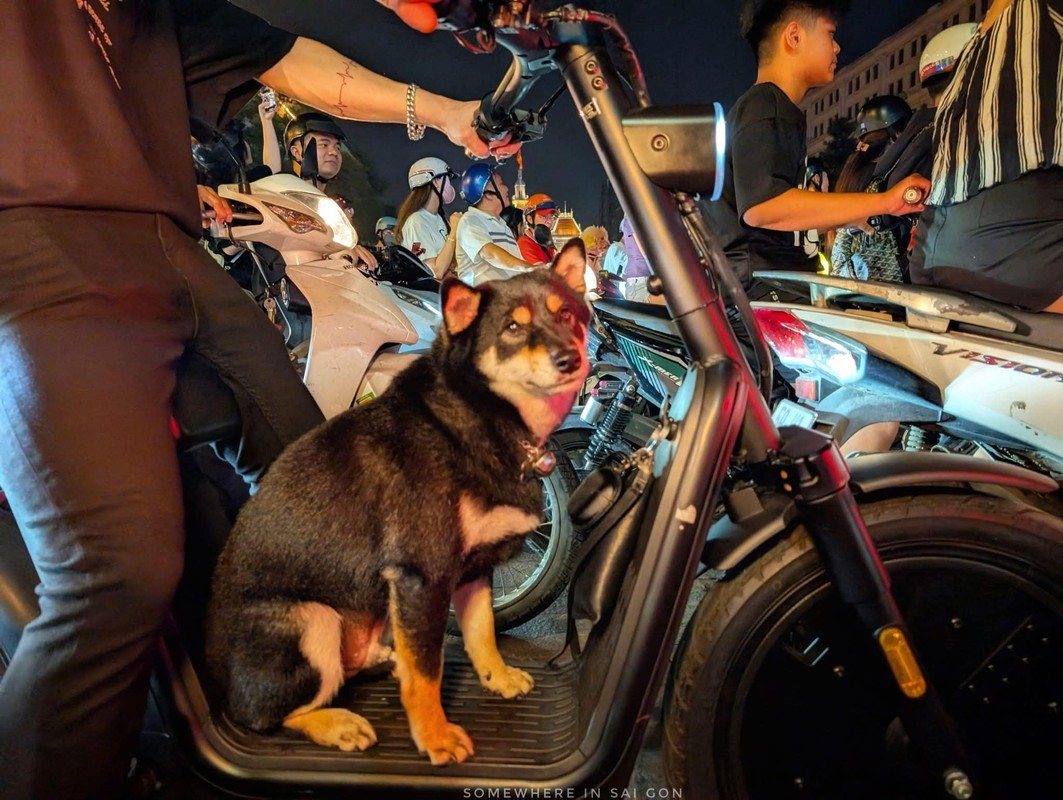 Loat anh “di bao” an tuong an mung chien thang tuyen Viet Nam-Hinh-2