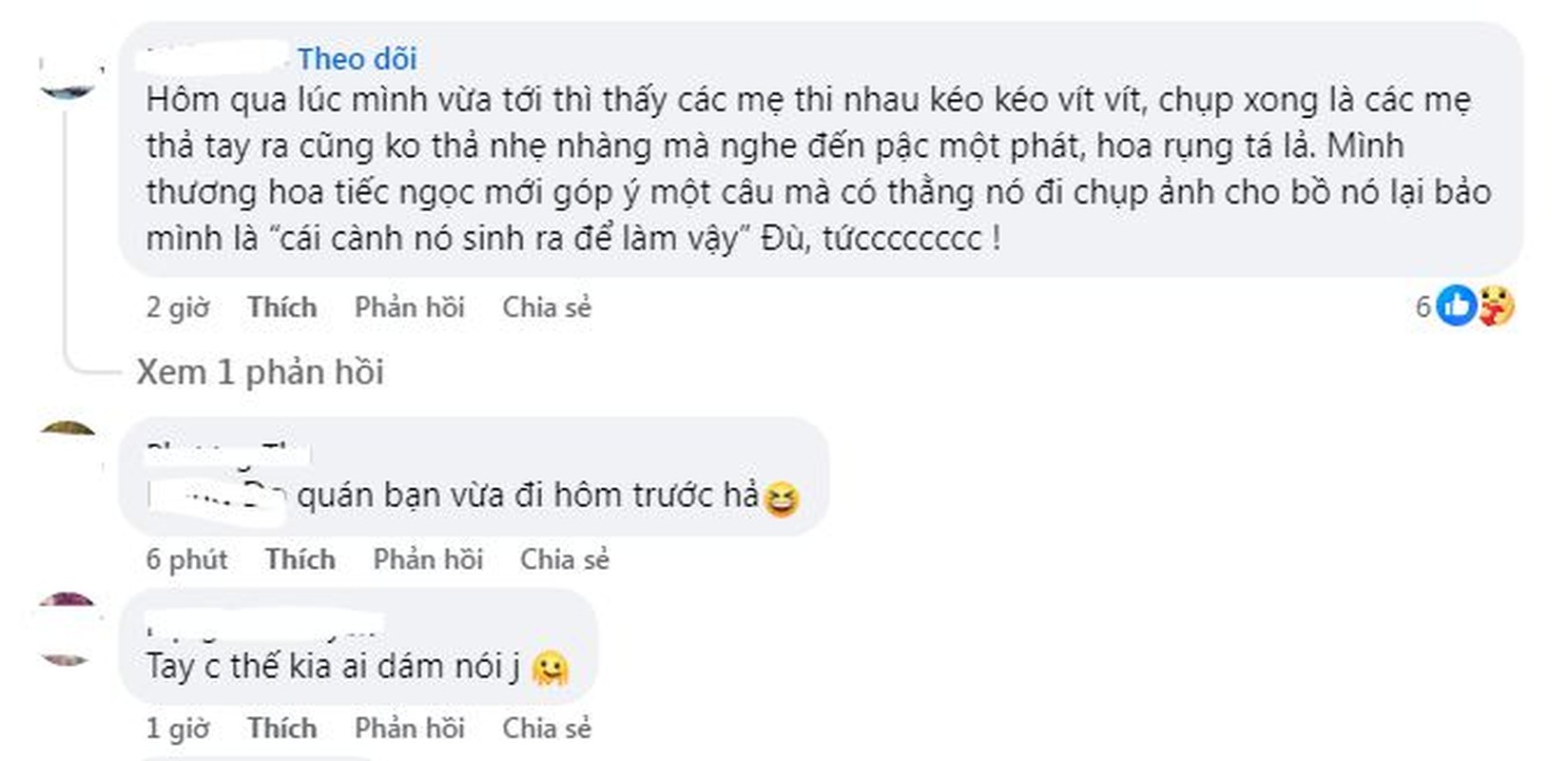 Check-in cay hoa sua hot nhat Ha Noi, nhieu nguoi gay tranh cai-Hinh-5