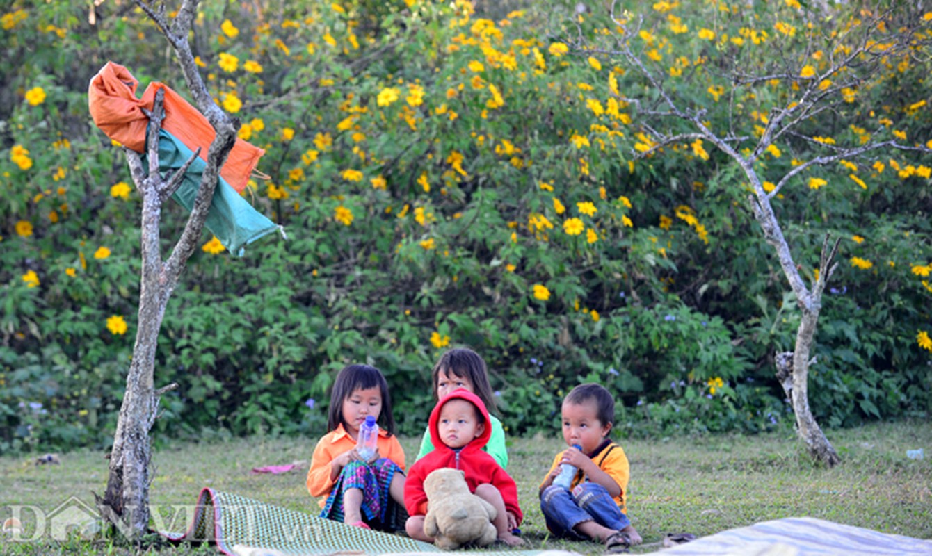 Huong sac hoa da quy dam say long nguoi o Moc Chau-Hinh-6