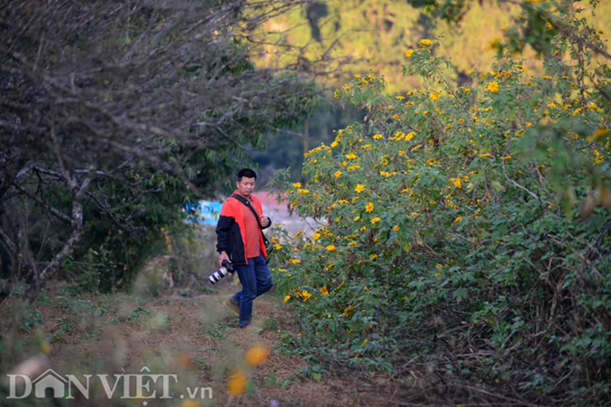 Huong sac hoa da quy dam say long nguoi o Moc Chau-Hinh-8