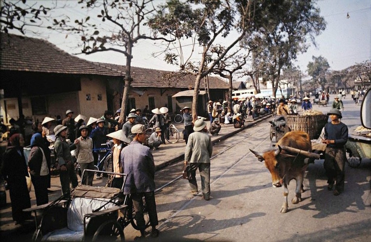 Hon 40 nam truoc, nguoi Ha Noi chay 