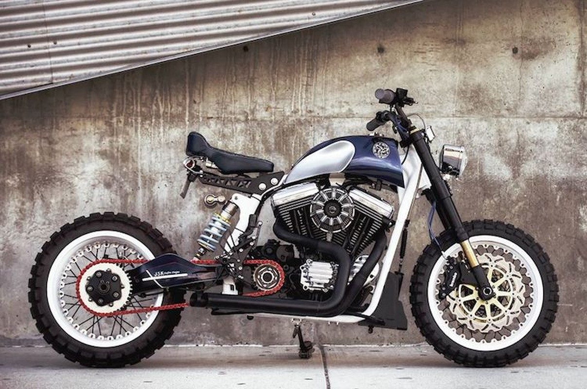 Moto Harley-Davidson Sportster 1200 do tracker &quot;hang khung&quot;-Hinh-3