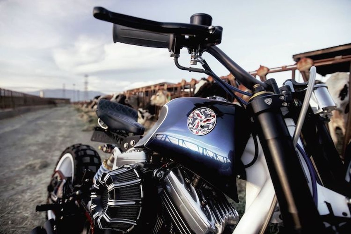 Moto Harley-Davidson Sportster 1200 do tracker &quot;hang khung&quot;-Hinh-4