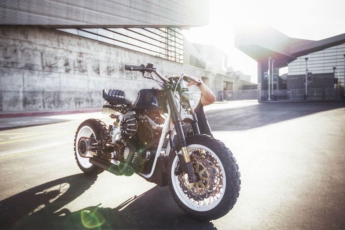 Moto Harley-Davidson Sportster 1200 do tracker &quot;hang khung&quot;-Hinh-8