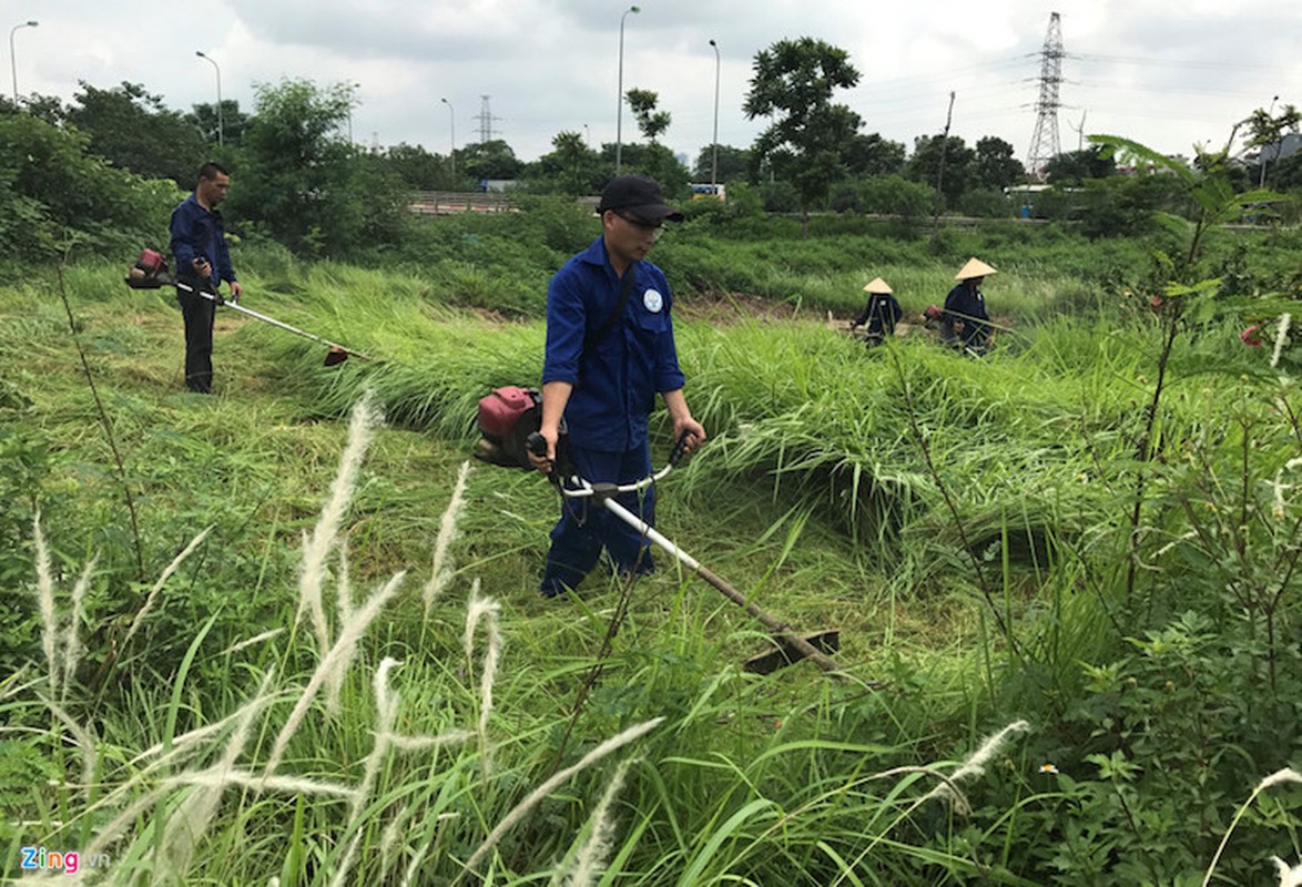 Anh: Cong nhan vat va dep rung co o dai lo Thang Long-Hinh-7