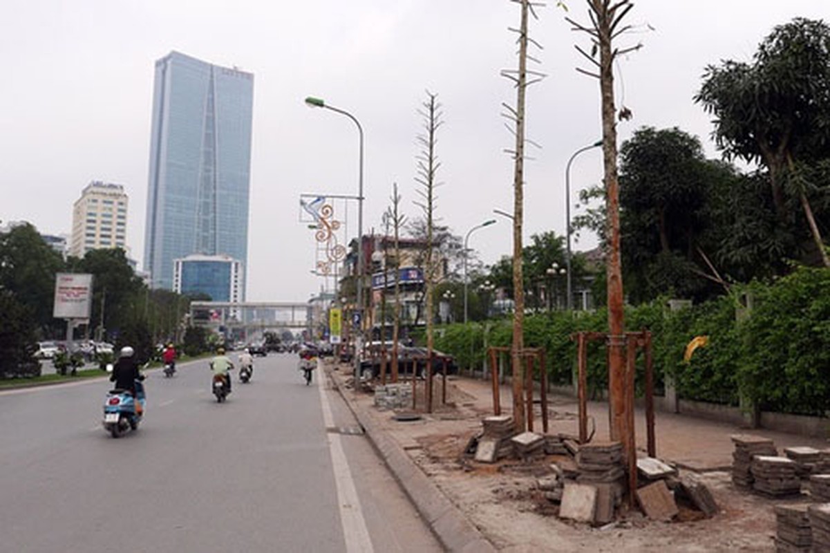 Hai kich trong cay mo, dan Ha Noi suong mui... mui xu ue