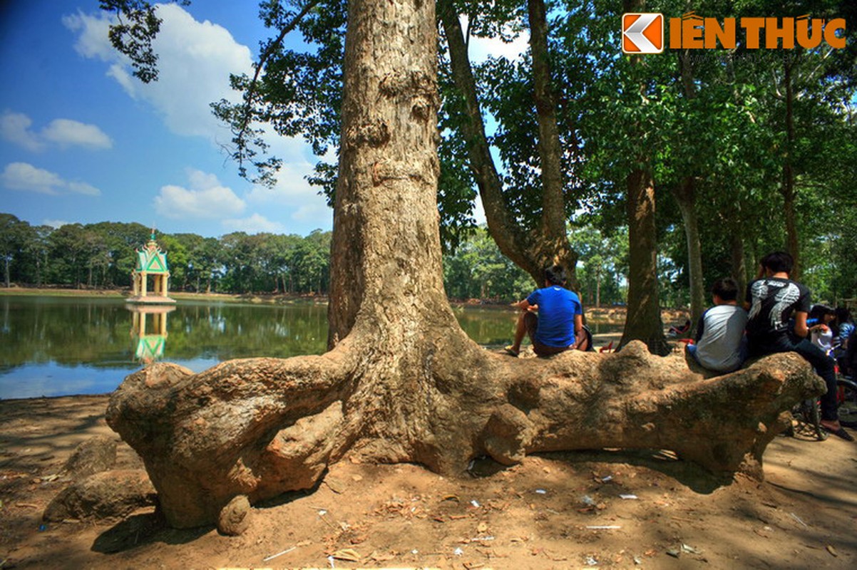 Lac vao rung co thu ky quai giua thanh pho o VN-Hinh-8