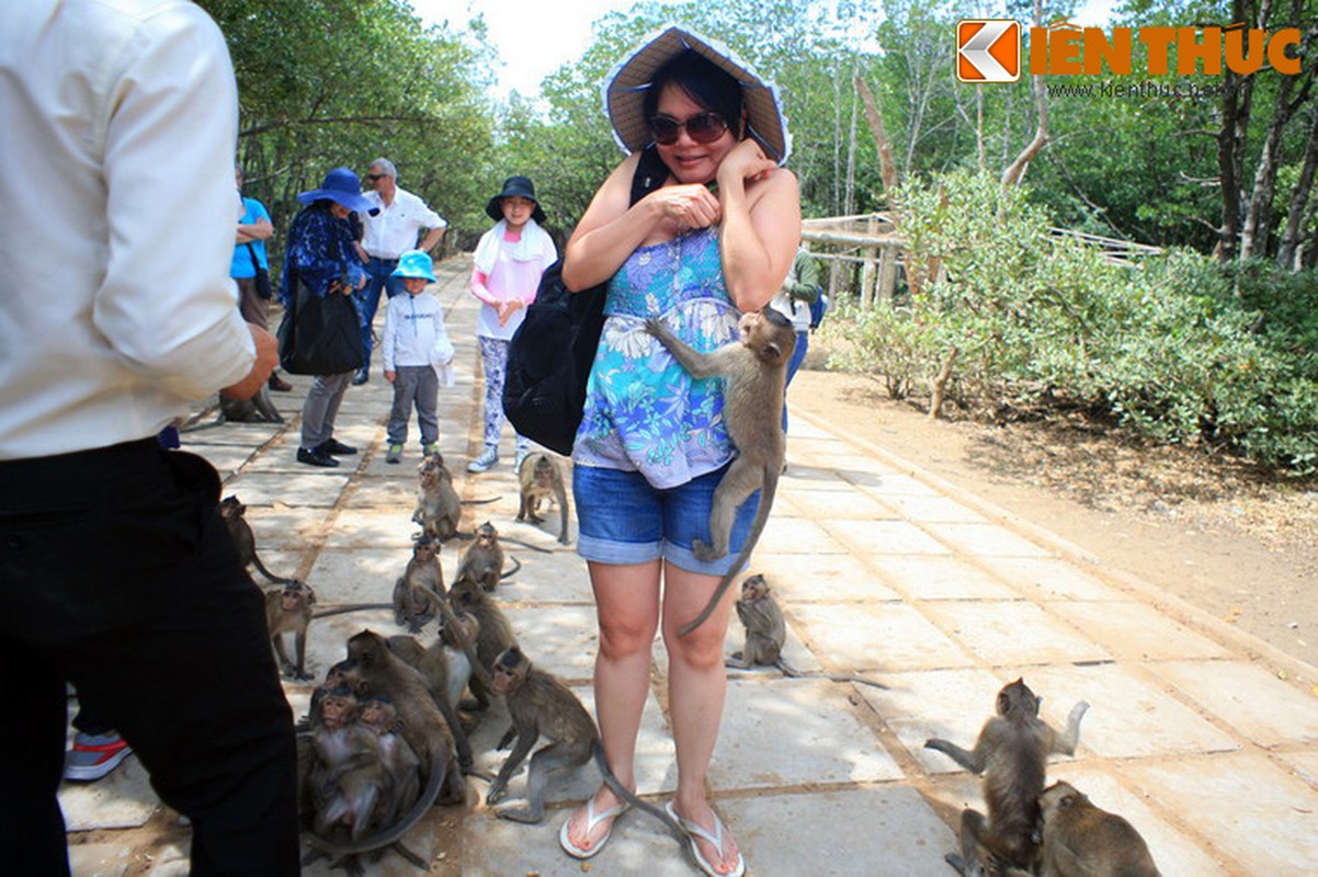 Lac vao vuong quoc cua loai khi o Sai Gon-Hinh-2