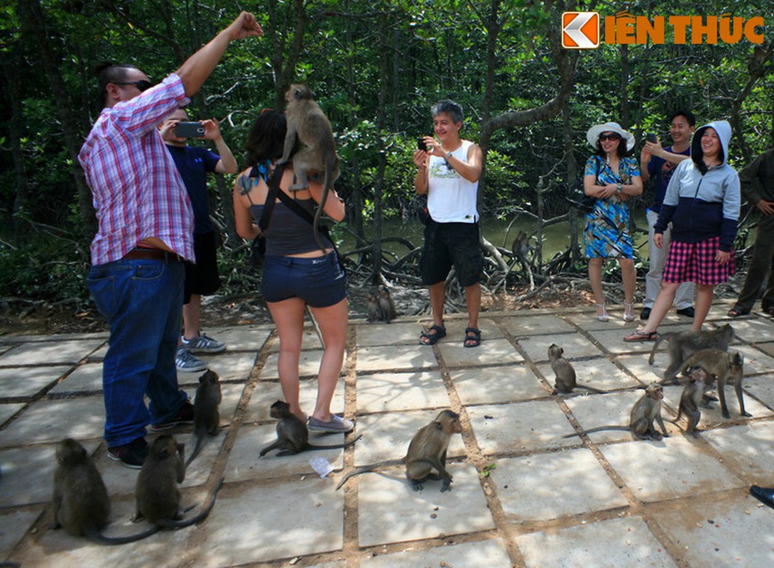 Lac vao vuong quoc cua loai khi o Sai Gon