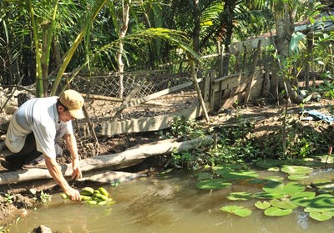 Loat anh cuoc song binh di cua gia dinh Anh Vien-Hinh-8