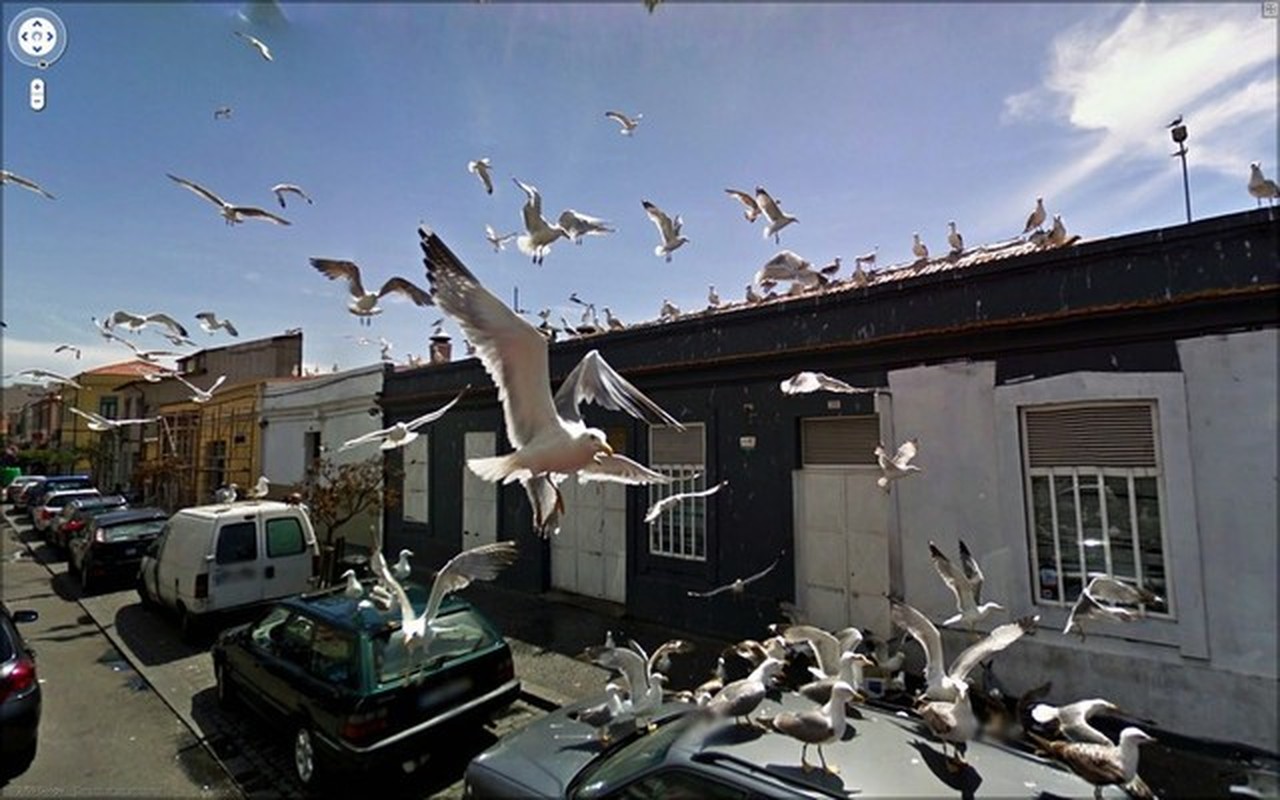 Nhung buc anh chup tu Google Street View sieu kinh di (2)-Hinh-2
