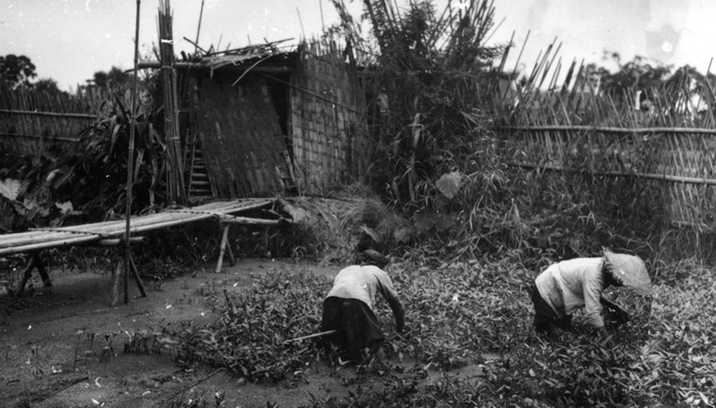 Nhung hinh anh dep quyen ru ve Ha Noi nam 1939 (2)-Hinh-6