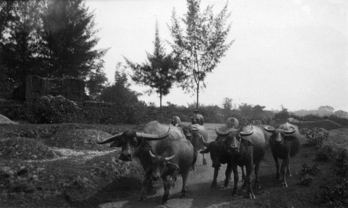 Nhung hinh anh dep quyen ru ve Ha Noi nam 1939 (2)-Hinh-7