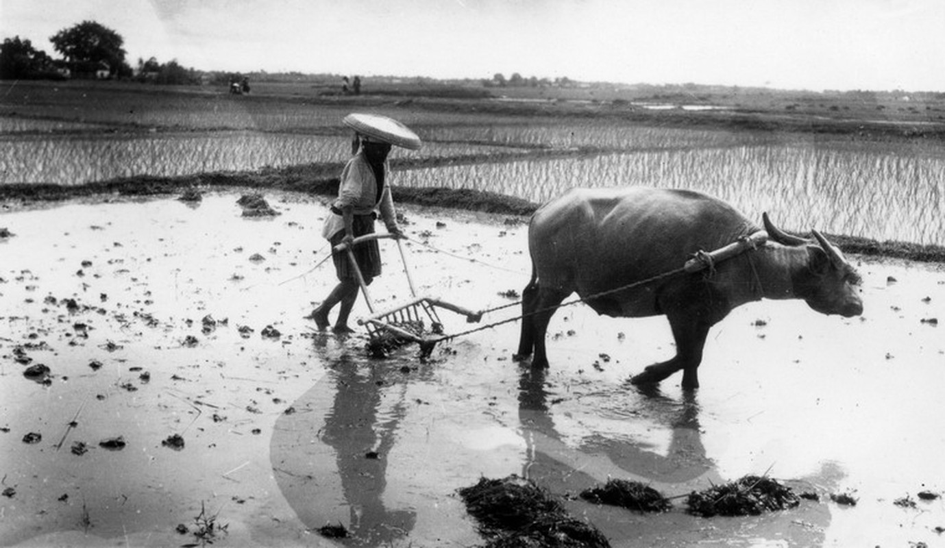 Nhung hinh anh dep quyen ru ve Ha Noi nam 1939 (2)-Hinh-8