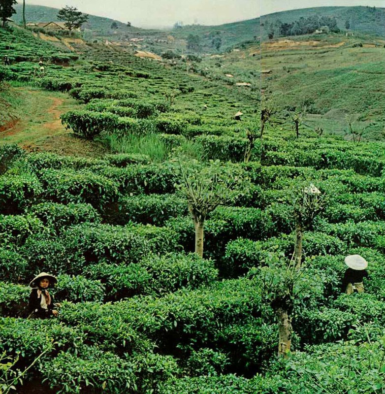 Anh doc ve Viet Nam 1964 tren tap chi National Geographic (2)-Hinh-5