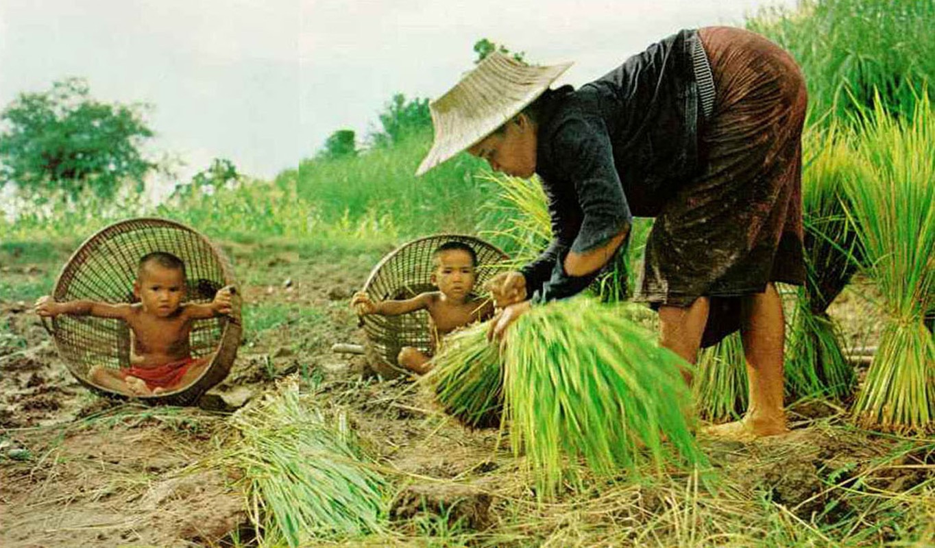 Cuoc song ben song Mekong 1968 qua loat anh National Geographic (1)-Hinh-5