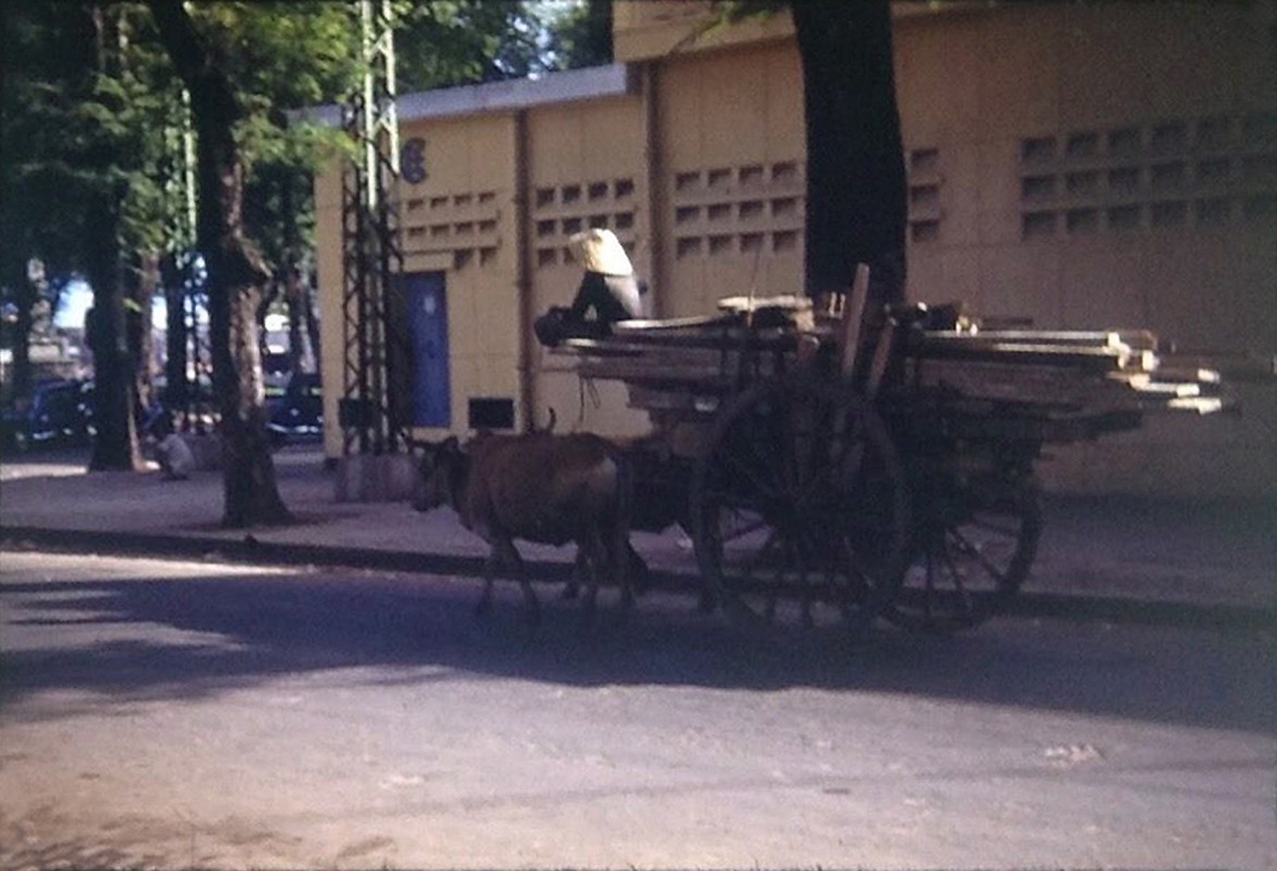 Nhung buc anh mau hiem co ve Sai Gon nam 1953-Hinh-5