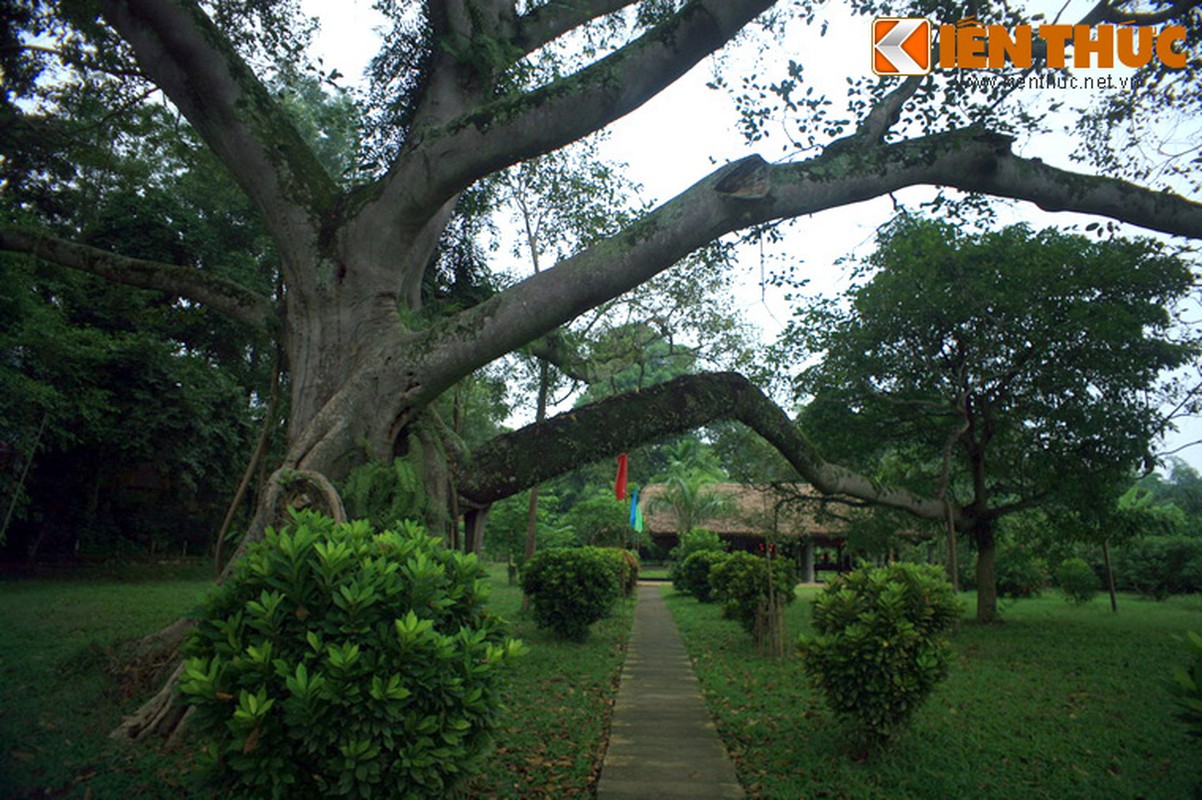 Tham chien khu Tan Trao - cai noi cua Cach mang thang Tam