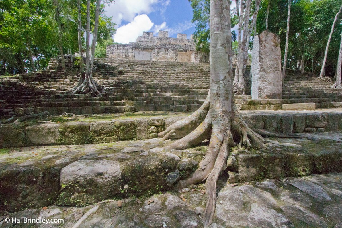 Kham pha thanh pho co Calakmul cua nguoi Maya-Hinh-4