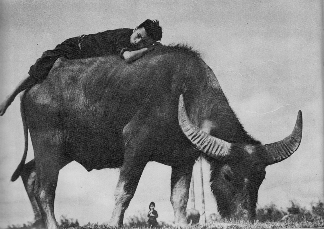 Anh hiem ve Ha Noi thap nien 1950 cua nhiep anh gia Hungary-Hinh-17