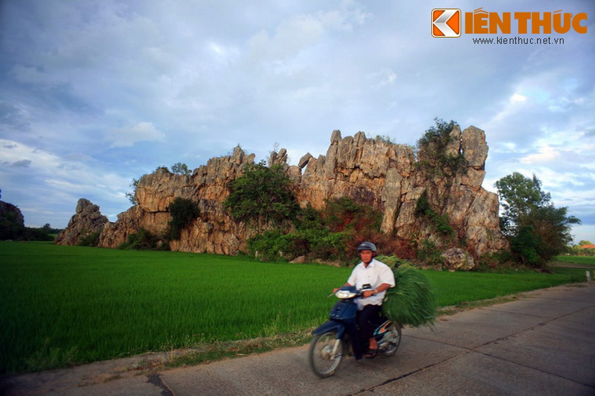 Ngam ky quan da khong lo giua dong lua o Phu Yen-Hinh-3