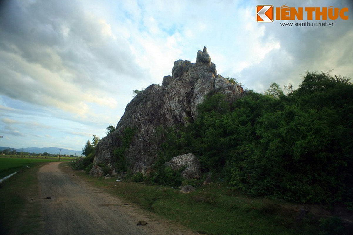 Ngam ky quan da khong lo giua dong lua o Phu Yen-Hinh-5